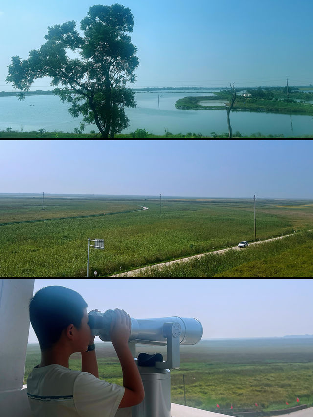景德鎮Day1｜從鄱陽湖的江湖到御窯的千年窯火 