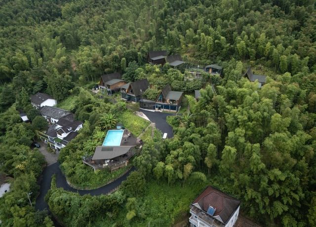茶隱山隅 | 半日清閒,一壺秋光 茶隱山隅 | 半日清閒,一壺秋光
