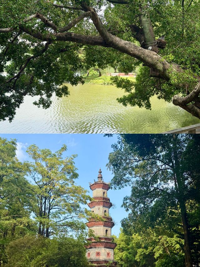 廣州出發1h直達！惠州這顆「低調明珠」，免費逛吃拍太治癒