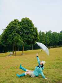 在成都！！唯一想去無數次的森林公園！！！