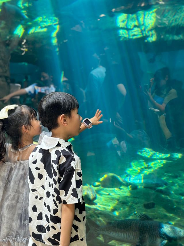 2大2小珠海長隆親子遊！玩到不想回家！||行程總結先碼