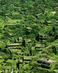 舟山嵊山島新晉打卡地！泡泡瑪特x綠野仙蹤聯名展來了