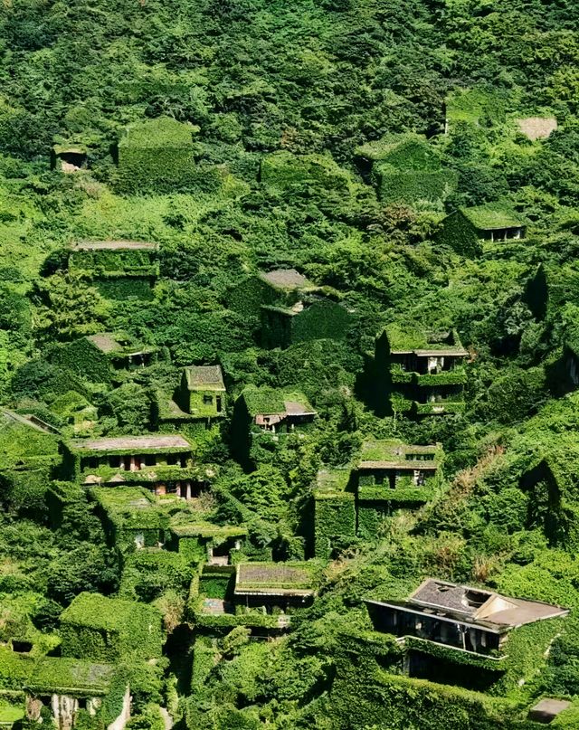 舟山嵊山島新晉打卡地！泡泡瑪特x綠野仙蹤聯名展來了