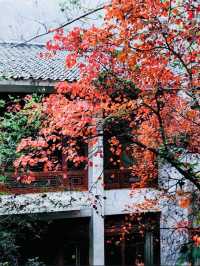 【濟南紅葉谷遊玩全攻略】一年僅此一季，邂逅泉城最美秋色！