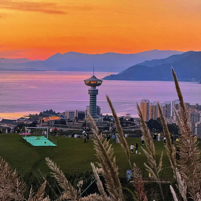 🏞️다리 여행 필수 코스! 하늘과 바다가 만나는 풍경 명소 5선