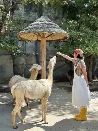 福州周邊1h直達超美的個地方！！！附攻略