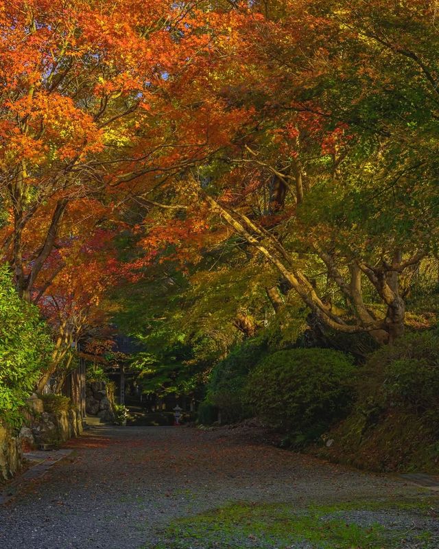 楓葉季限定福井小眾秘境·小濱八寺巡禮攻略