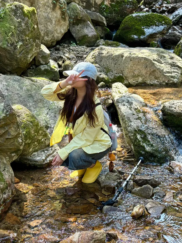 江浙最美徒步路線|走馬崗香榧林（附攻略）