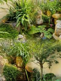 曬曬我的聯排中戶花園｜小戶型的精緻生活