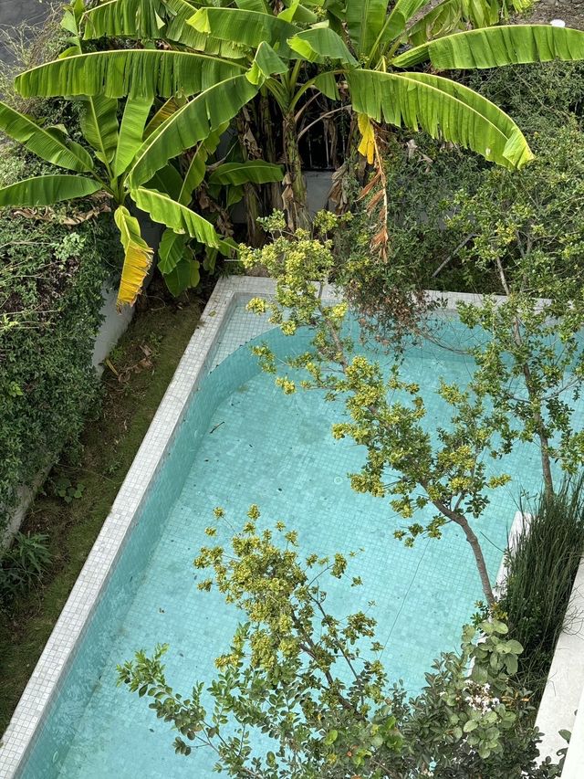 莫干山香草森林秘境|住進現實版莫奈花園,治癒感拉滿 莫干山香草森林秘境|住進現實版莫奈花園,治癒感拉滿