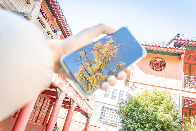 南京毗盧寺的秋天太美了附拍照打卡攻略路線 南京毗盧寺的秋天太美了附拍照打卡攻略路線