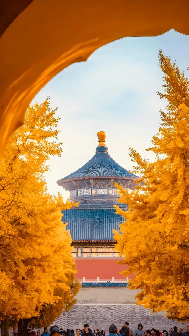 พบกับฤดูใบไม้ร่วงที่เทียนถาน สวยงามจนใจละลาย