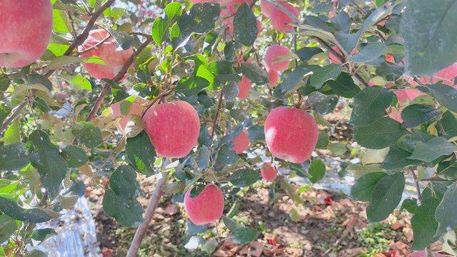 絕美海岸線發呆指南 絕美海岸線發呆指南