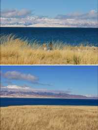 冬季伊犁|闖入冰雪仙境,享野奢之旅