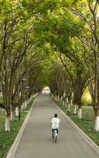 把秋假還給自然!這裡的秋冬沒有圍牆~