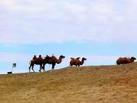 穿越羅布泊無人區｜在荒蕪中遇見最美日落