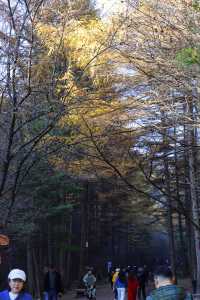 秦嶺留壩環線之情人谷