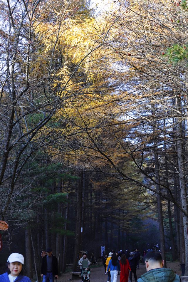 秦嶺留壩環線之情人谷