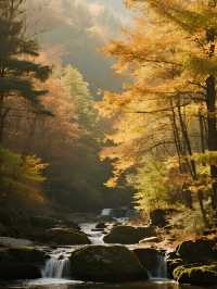 秋日遛娃私藏地！光霧山紅葉美到心巴上