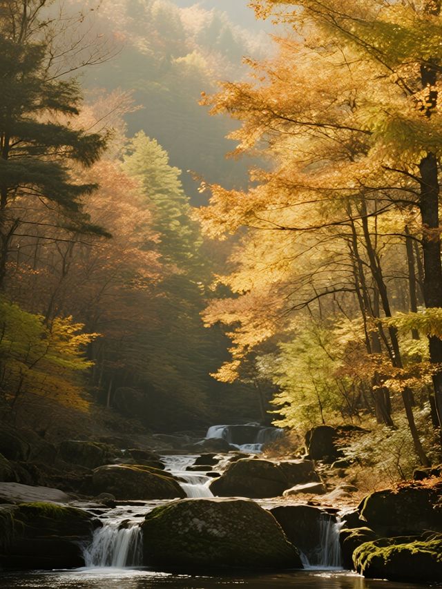 秋日遛娃私藏地！光霧山紅葉美到心巴上