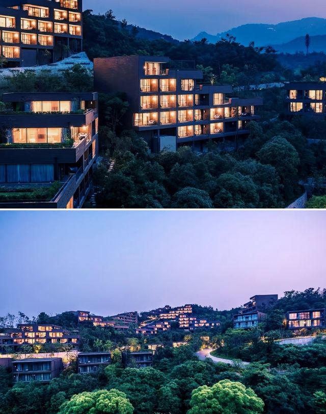 承包六座山頭的森系度假酒店莫干山·郡安里