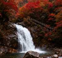 秋日限定！南江十八月潭，藏在秦巴的彩色仙境