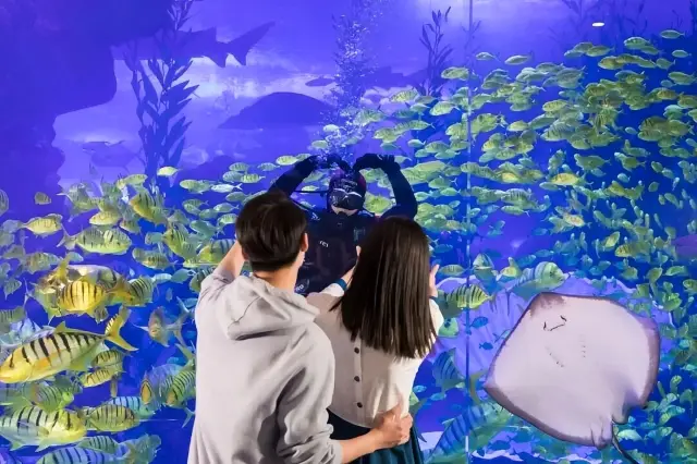 เทศกาลนกนางนวลชิงเต่าฤดูทะเลใหม่