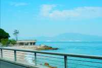 椰子林與海的完美邂逅