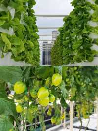 復古海派風混搭現代設計，連大堂都像小型上海灘博物館