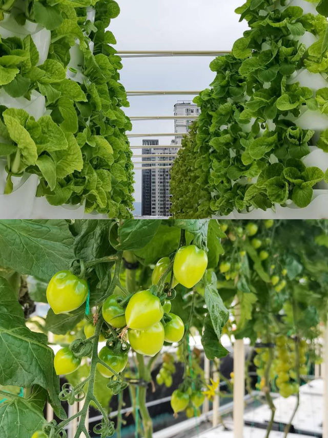 復古海派風混搭現代設計，連大堂都像小型上海灘博物館