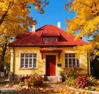 八大關的秋天,是上帝打翻的調色盤|青島賞秋天花板