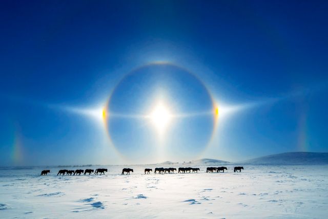 根河：在中國冷極，與冰雪共舞