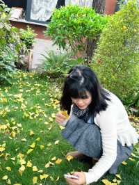 西昌秋旅藏驚喜!和悅庭院的銀杏,竟成手作限定浪漫