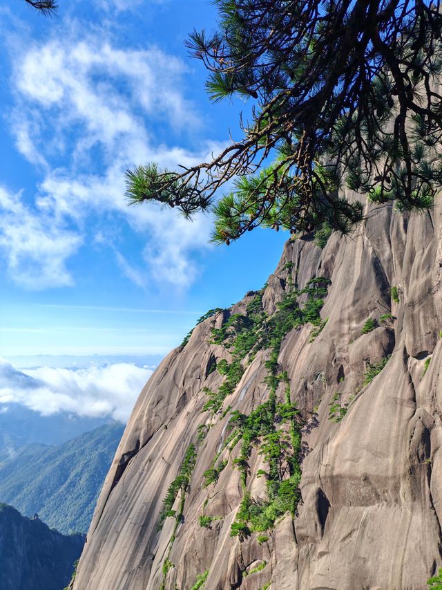 黃山30小時極限挑戰：兩天一夜保姆級攻略，解鎖100%精華體