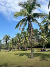 廣州南沙深度漫遊全景攻略