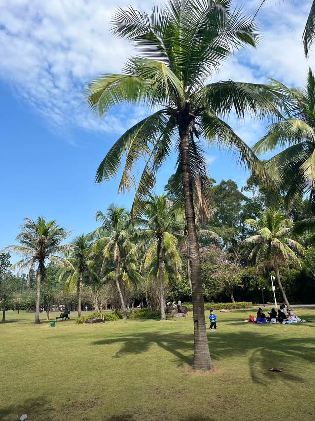 廣州南沙深度漫遊全景攻略 廣州南沙深度漫遊全景攻略