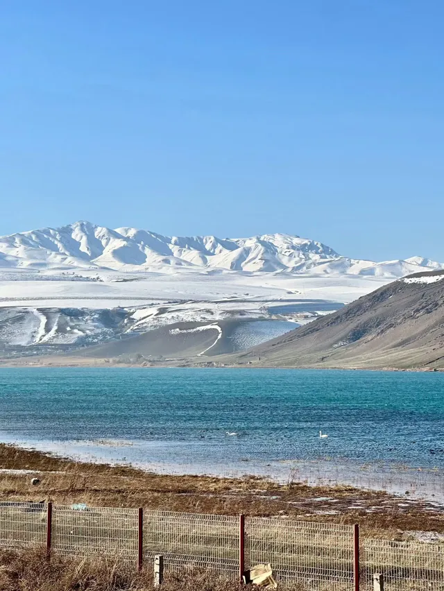 冬季伊犁|我在新疆找到的冰雪 冬季伊犁|我在新疆找到的冰雪