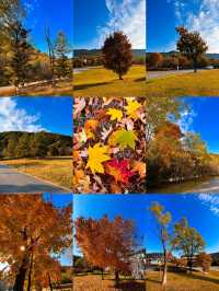 瀋陽必爬棋盤山攻略