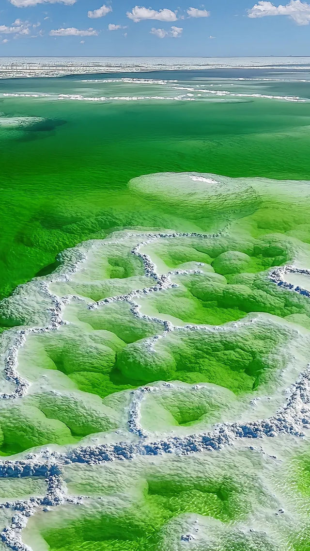 青海藏着片「天空之鏡」!察爾汗鹽湖美到讓人失語 青海藏着片「天空之鏡」!察爾汗鹽湖美到讓人失語