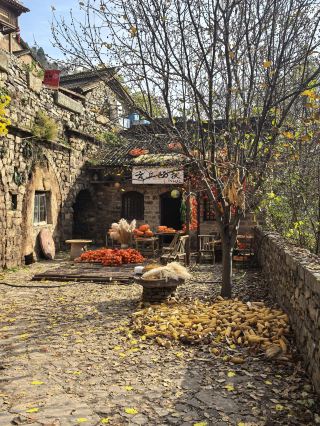 Yunqiu Mountain Persimmon Ruyi Autumn Drying Scenery