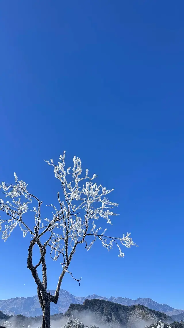西嶺雪山真的值得🫶