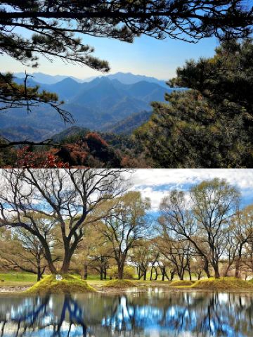 안산의 숨은 보석을 공개합니다! 11월과 12월에 숨 막힐 듯 아름다운, 잘 알려지지 않은 명소 6곳을 소개합니다!