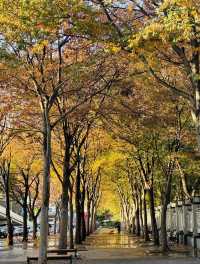 長椅湖畔油畫時光