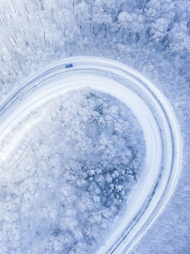 冬天去長白山-哈爾濱-漠河北極村絕了