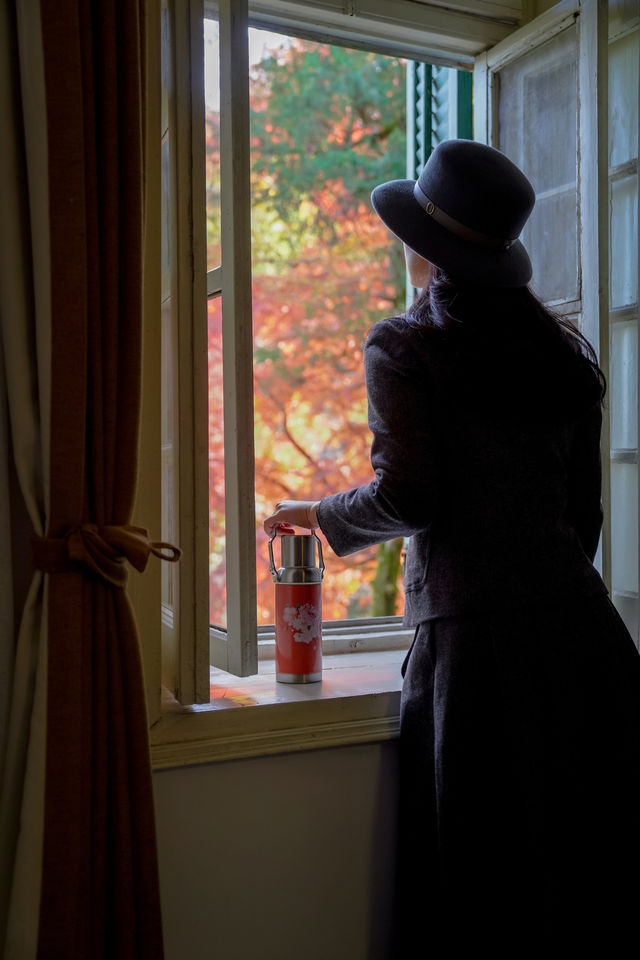 一眼封神,莫干山500年楓樹驚艷整個秋天 一眼封神,莫干山500年楓樹驚艷整個秋天