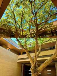 景德鎮封神酒店陶溪川裡的陶瓷美學天花板