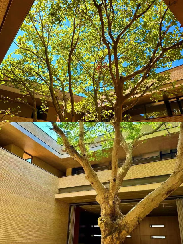 景德鎮封神酒店陶溪川裡的陶瓷美學天花板