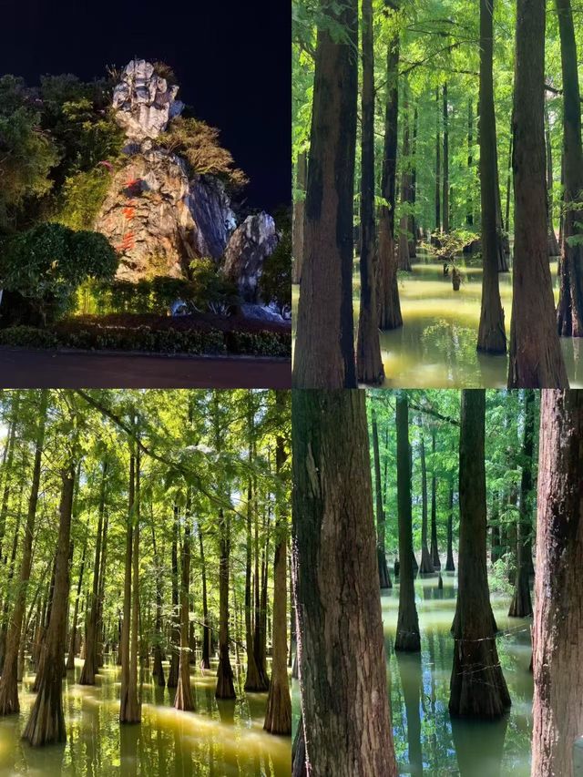 天氣晴好的肇慶兩天一夜之旅,享盡湖山古蹟與城市韻味! 天氣晴好的肇慶兩天一夜之旅,享盡湖山古蹟與城市韻味!