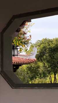 西湖邊隱秘觀景台，一些西湖的其他角度