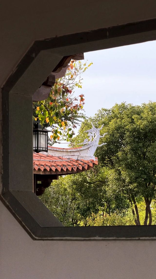 西湖邊隱秘觀景台，一些西湖的其他角度